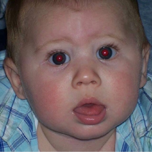 Meet your Posher, Peyton - Picture 1 of 1